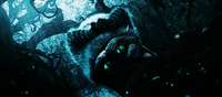 alice-in-wonderland-cat-cheshire-cat-gif-Favim.com-1612796.gif