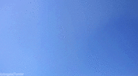 1_So-vzryvom-kot-zhivnost-gifki-1156915.gif