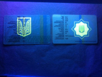 902c5615-f1fc-4528-be22-4c4c5cac0096.png