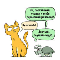 1450301070191813705.jpg
