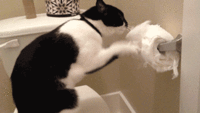 image_8618061518060280617.gif