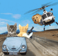 animals_17.gif