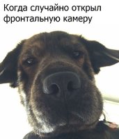 YoPvT1q4JvY.jpg
