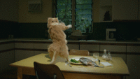 giphy (3).gif