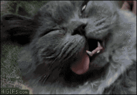 6aa1207dca4ba530e308bb2a9c8897b1.gif