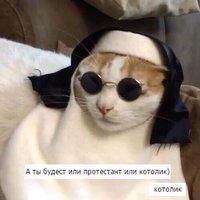 XFdouwEHFA0.jpg