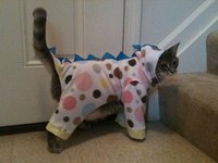 pijama-koshka-64244-large.jpg