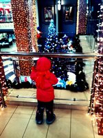 IMG_20161222_143521.jpg