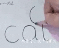 NiT (2).gif