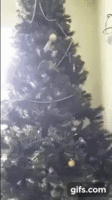 69ab062fbc8857.gif