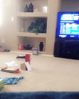 e6g66g6.gif