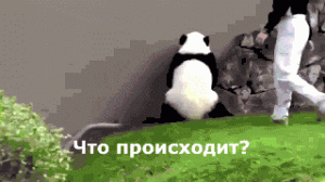 MDK.gif