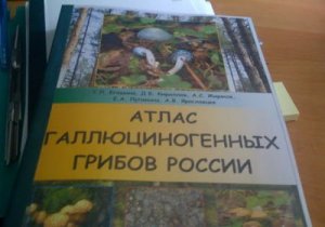 IMG_0117.JPG