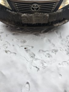 IMG_0160.JPG