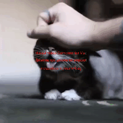 image.gif
