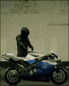 original.gif