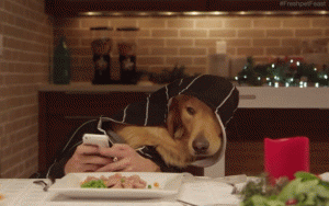 1482649087_01.gif