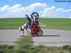 7.gif