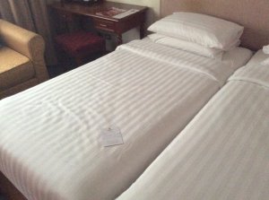 IMG_2879.JPG