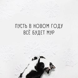 d9O8G3J1U28.jpg