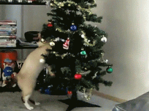 f598cb6ec95ba4b1a2aaeb31b366e2.gif