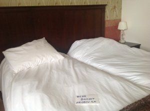 IMG_9156.JPG