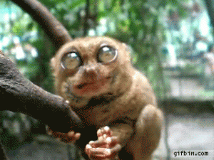 1429945643_13.gif