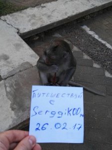 й3.jpg