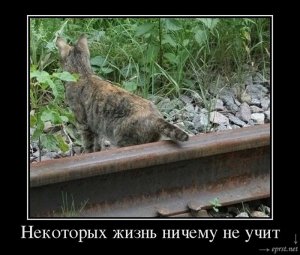 1420979178_0.jpg