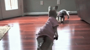 45807466cd598f88be3964e15073756c.medium.gif