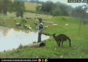 gZjzkJEzwuB0Y.gif