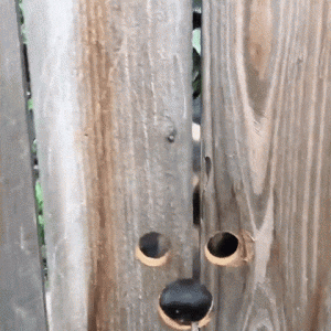 vk_com_gifmast_1.gif