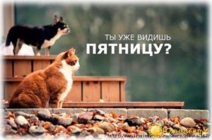Доброе утро четверга.jpg