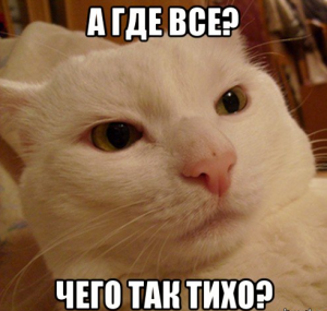 derzkij-kote_142489467_orig_.png