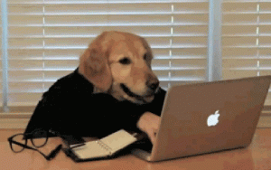 1fuaigQ.gif