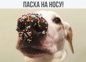 IMG_0169.JPG