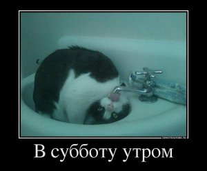 _subbotu_utrom_yapfiles.ru.jpg