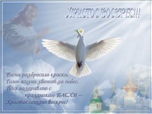 Хв.jpg