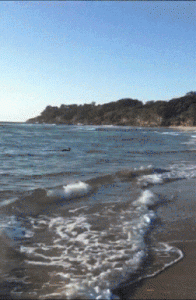 mchBsb2H5IqJy.gif
