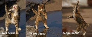 wx1080.jpg