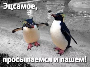 IMG_9101.JPG