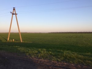 IMG_1113.JPG