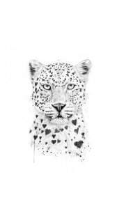Lovely leopard1027_rectangle.jpg