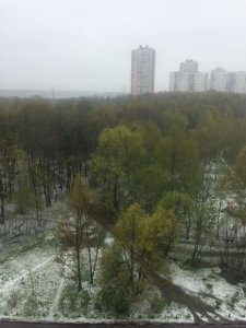 IMG_4406.JPG