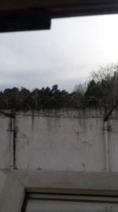 20170508_182258.jpg
