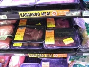 1192898945_1_ft52_kangaroo_.jpg 1192898945_1_ft52_kangaroo_.jpg