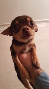 Снимок экрана от 2017-05-19 21:41:39.png