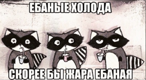 upload_2017-5-20_13-53-4.png