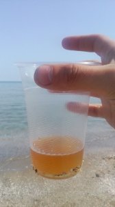 IMG_20170501_162451.jpg