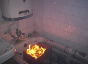 image.jpeg
